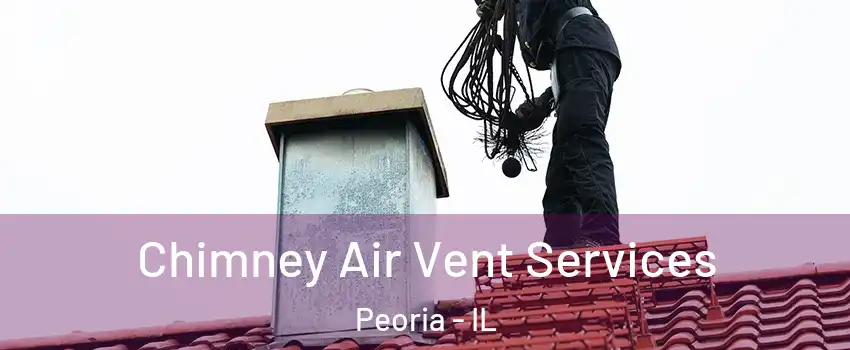  Chimney Air Vent Services Peoria - IL