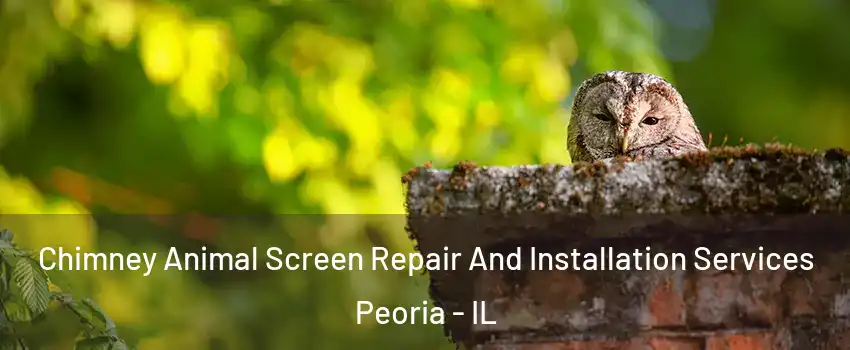  Chimney Animal Screen Repair And Installation Services Peoria - IL