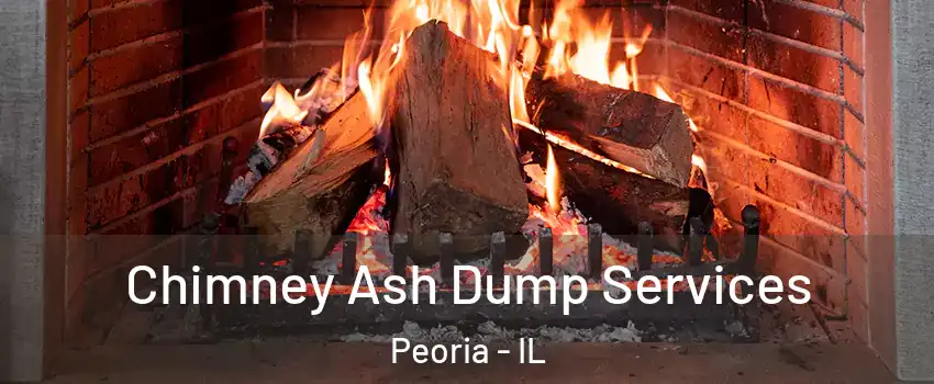  Chimney Ash Dump Services Peoria - IL