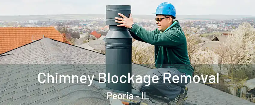  Chimney Blockage Removal Peoria - IL