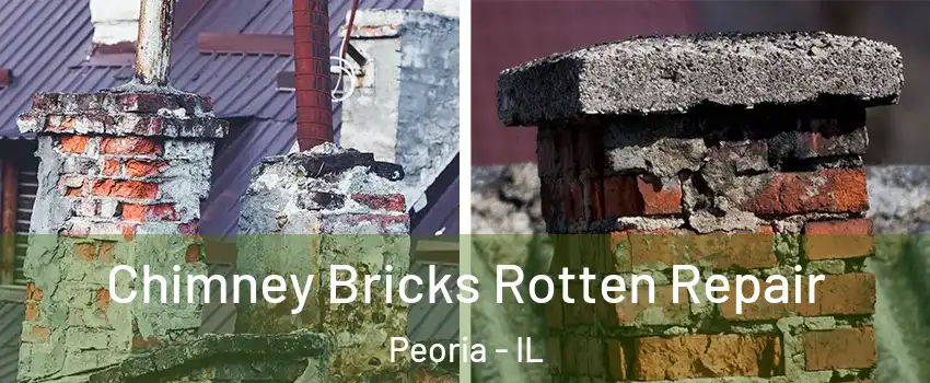  Chimney Bricks Rotten Repair Peoria - IL