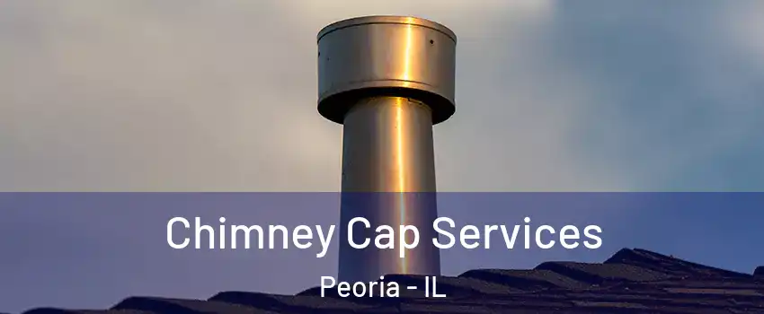  Chimney Cap Services Peoria - IL