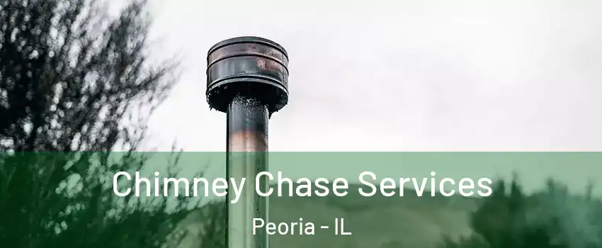  Chimney Chase Services Peoria - IL