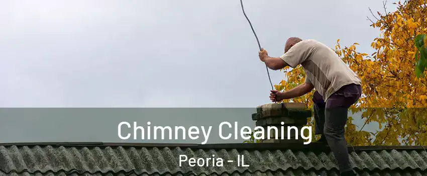  Chimney Cleaning Peoria - IL