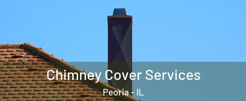  Chimney Cover Services Peoria - IL
