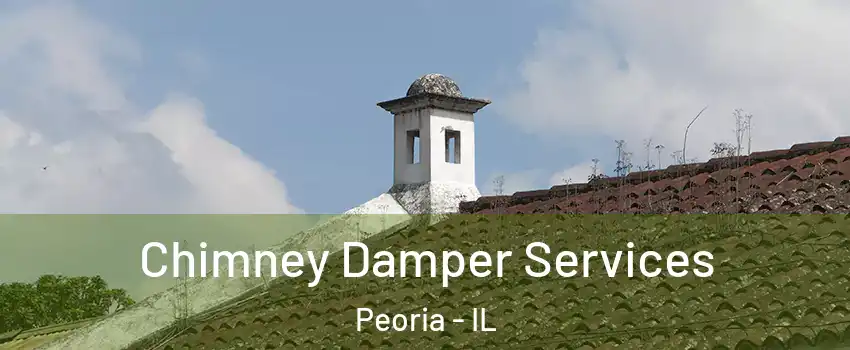  Chimney Damper Services Peoria - IL
