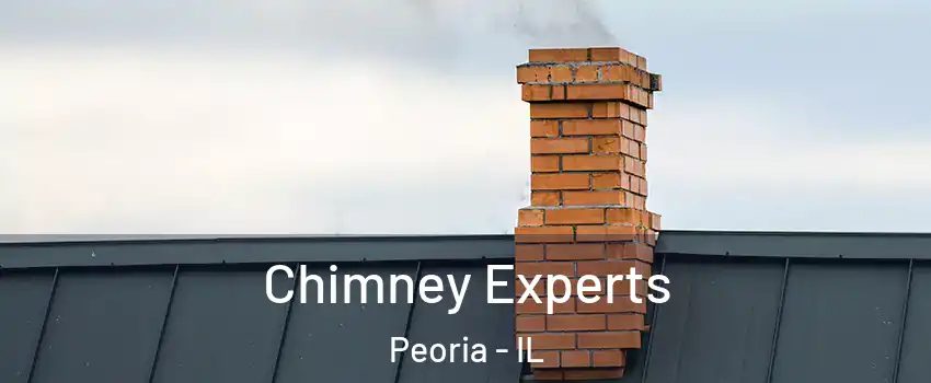  Chimney Experts Peoria - IL