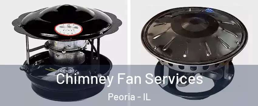  Chimney Fan Services Peoria - IL