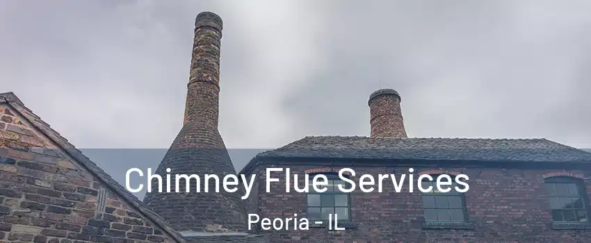  Chimney Flue Services Peoria - IL