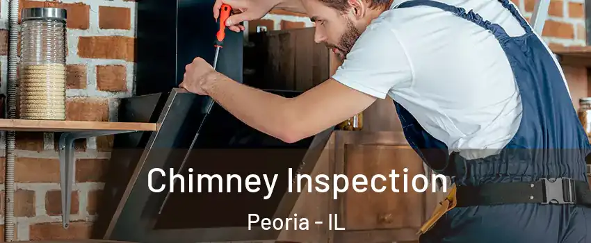  Chimney Inspection Peoria - IL