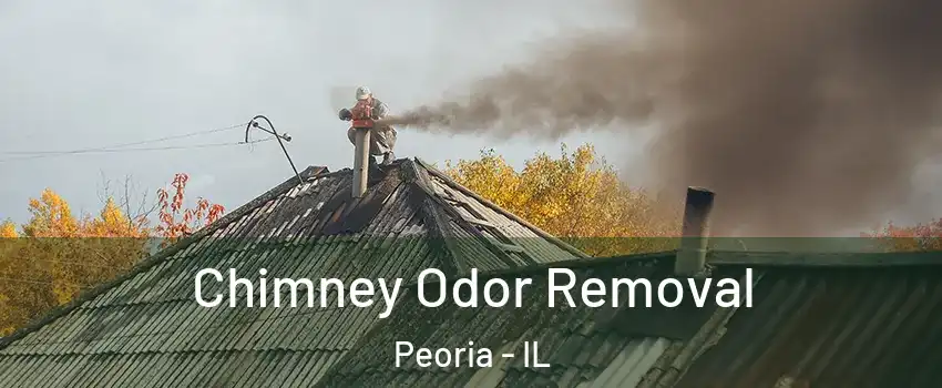  Chimney Odor Removal Peoria - IL