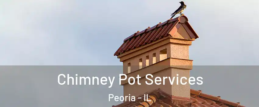  Chimney Pot Services Peoria - IL