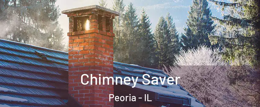  Chimney Saver Peoria - IL