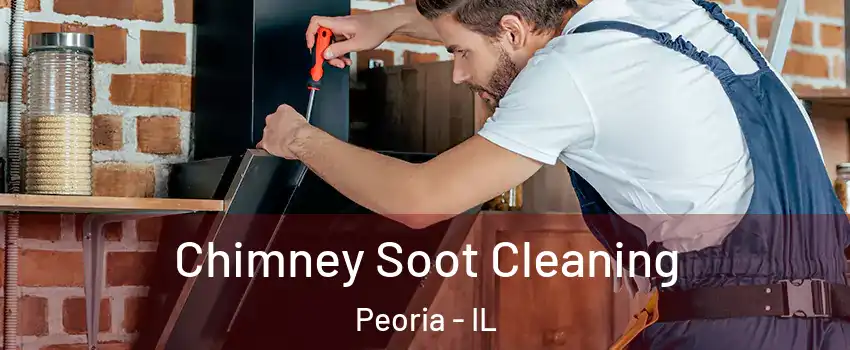  Chimney Soot Cleaning Peoria - IL