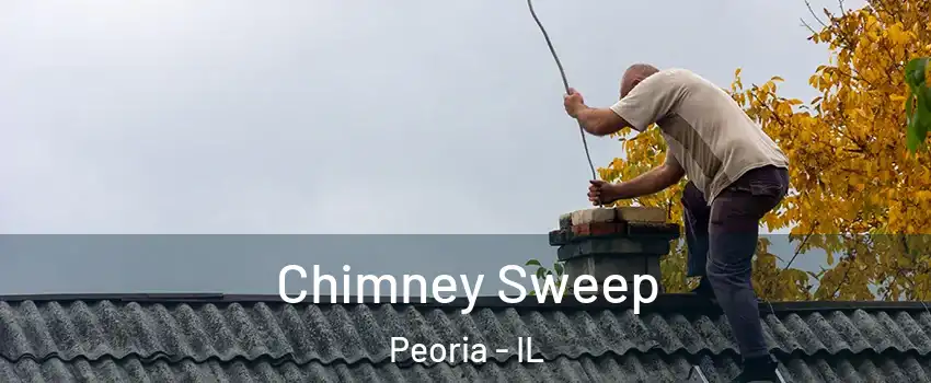  Chimney Sweep Peoria - IL