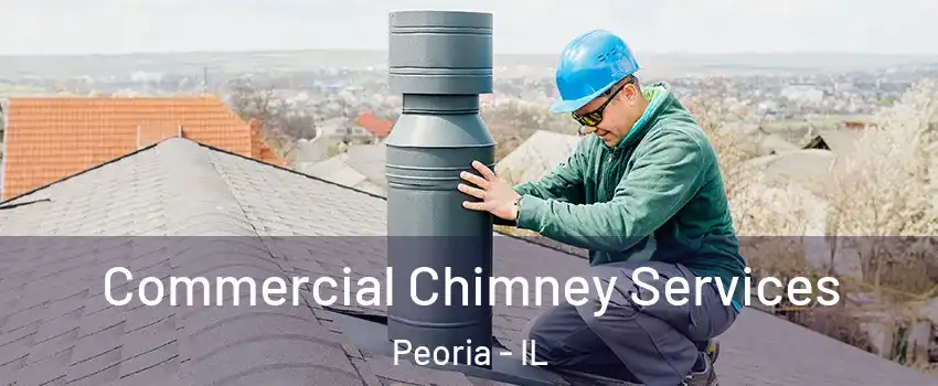  Commercial Chimney Services Peoria - IL