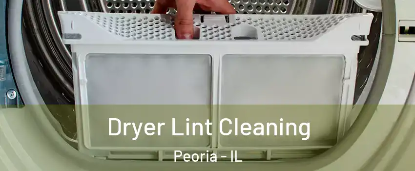  Dryer Lint Cleaning Peoria - IL