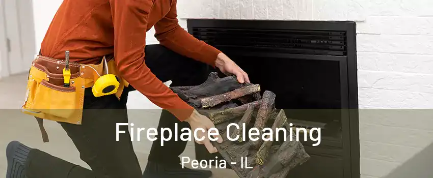  Fireplace Cleaning Peoria - IL
