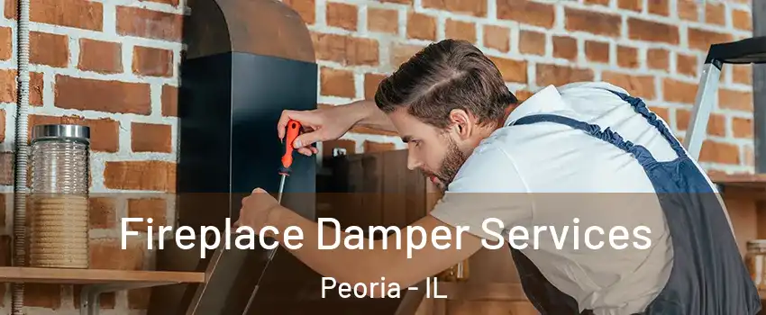  Fireplace Damper Services Peoria - IL