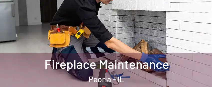  Fireplace Maintenance Peoria - IL