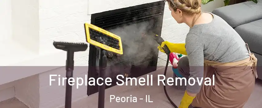  Fireplace Smell Removal Peoria - IL