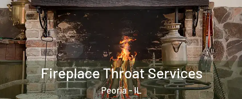  Fireplace Throat Services Peoria - IL