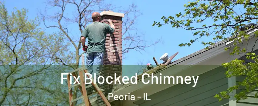  Fix Blocked Chimney Peoria - IL