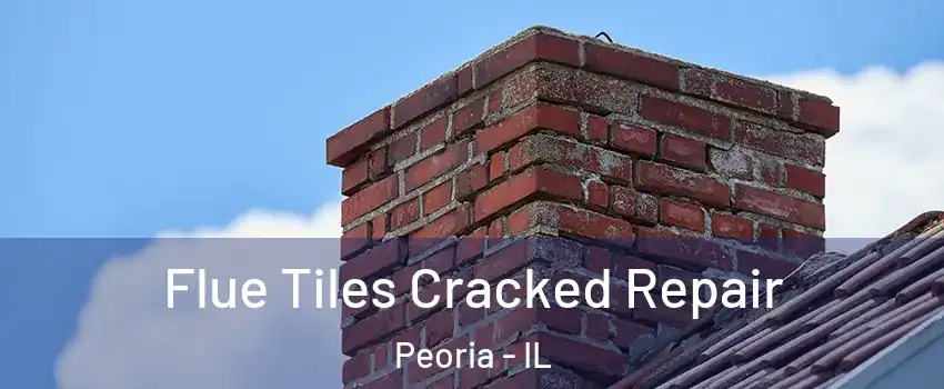  Flue Tiles Cracked Repair Peoria - IL