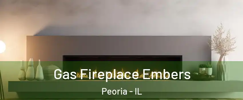  Gas Fireplace Embers Peoria - IL