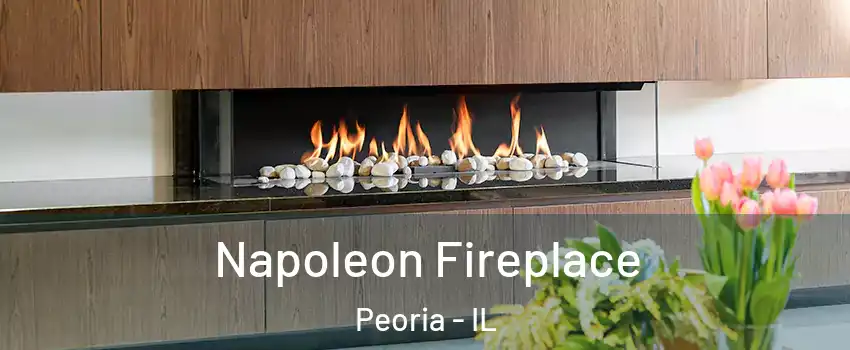  Napoleon Fireplace Peoria - IL