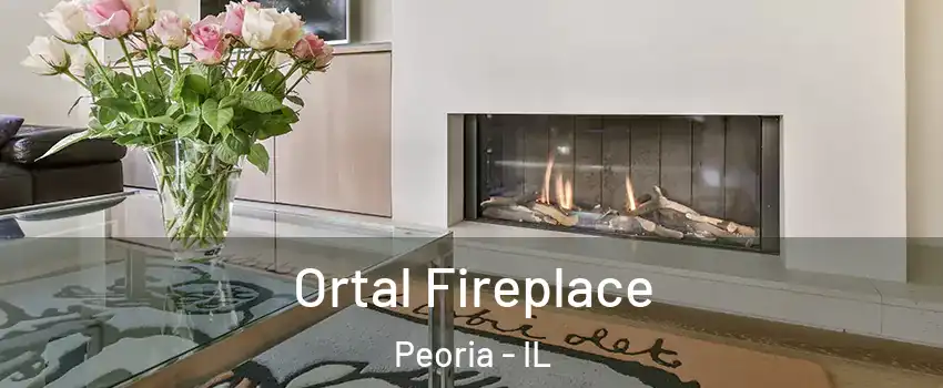  Ortal Fireplace Peoria - IL