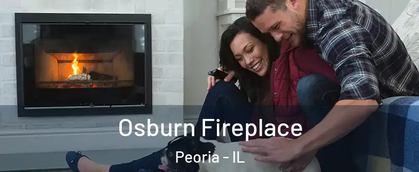  Osburn Fireplace Peoria - IL
